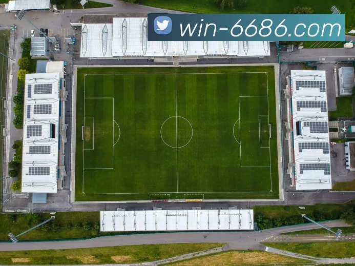 6686体育平台生态图